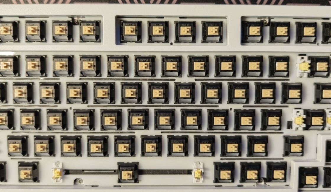 Barebone keyboard plate and switches before keycaps